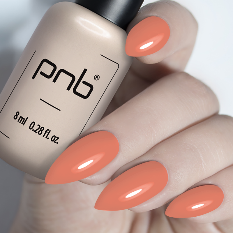 Гель лак PNB mini 213, 4 мл