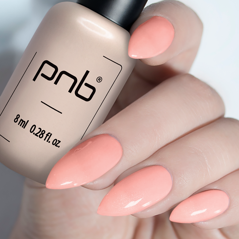 Гель лак PNB 003, 8 мл