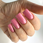 Гель лак PNB Classic, 8 мл