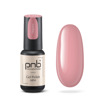 Гель лак PNB mini 170, 4 мл