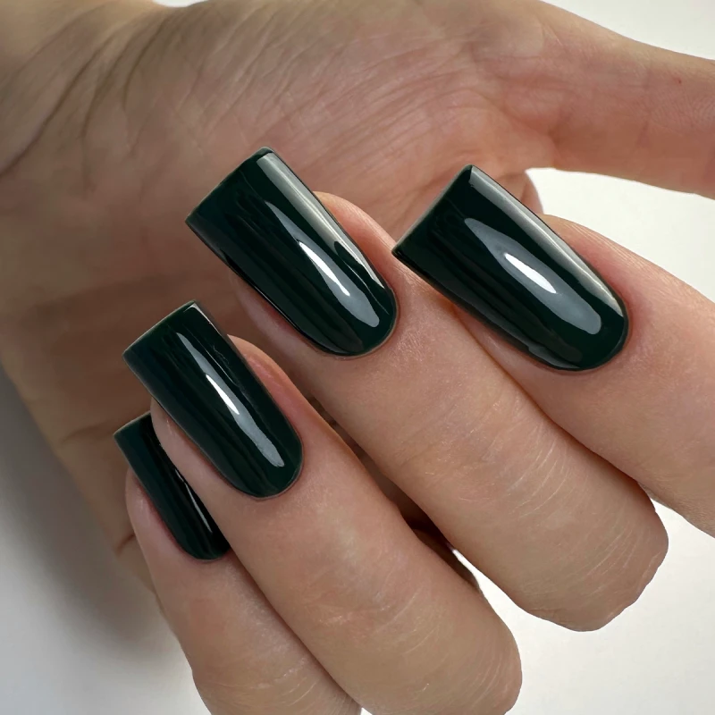 Гель лак PNB 08L Hidden Garden, 8 мл