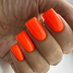 Гель лак PNB 113, 8 мл