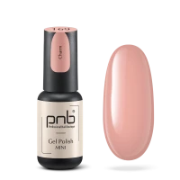 Гель-лак PNB mini 169, 4 мл