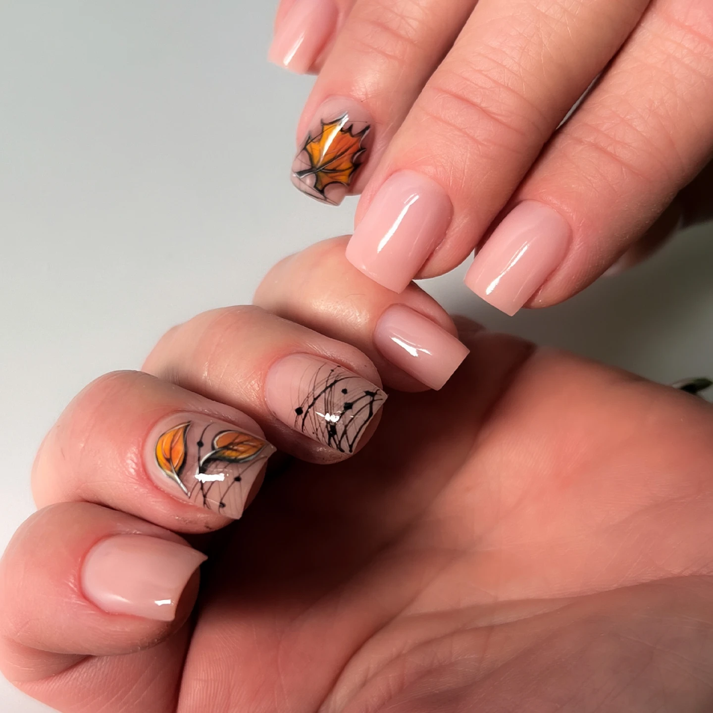 Осенние мотивы Осенние мотивы